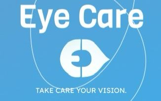 Professional Experience 2